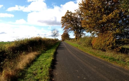 Country Road - roads, nature, sky, road