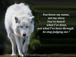 wolf wisdom