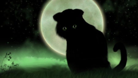 Fantasy cat - moon, black, apofiss, cat