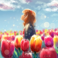 Fields of Tulips