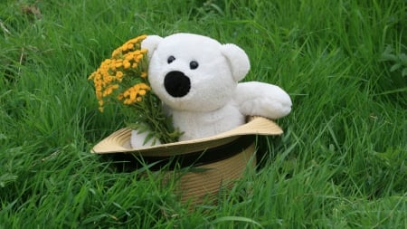 Teddy bear - hat, bear, teddy, grass, flower, toy