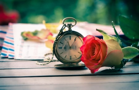 Still life - watch, rose, flower, photography