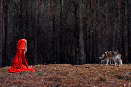 Beauty - red, forest, lady, beauty, model