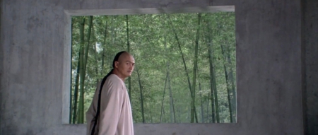 crouching tiger hidden dragon - hidden, crouching, tiger, dragon