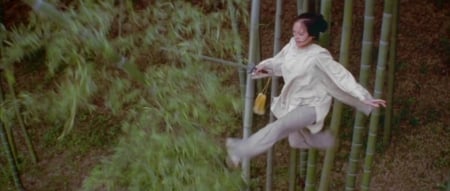 crouching tiger hidden dragon - hidden, crouching, tiger, dragon