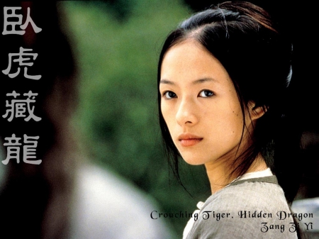 crouching tiger hidden dragon - dragon, crouching, tiger, hidden