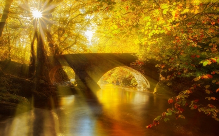 Golden Sunrays - autumn, sunlight, trees, fall, forest, river, beautiful, leaves, sunrays, golden, bridge, shadow