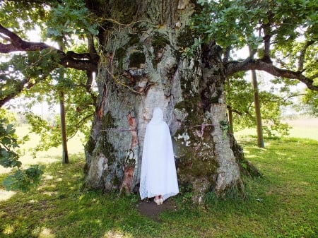 Your destiny-woman in white - nature, fields, people, other