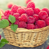 Raspberries