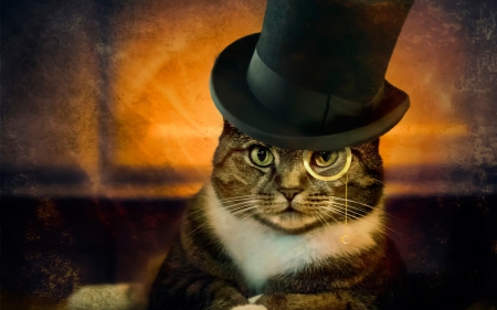 Fency cat - animal, fantasy, black, hat, monocle, cat, orange