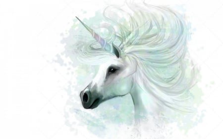 Unicorn - white, horn, horse, animal, fantasy, drawing, unicorn