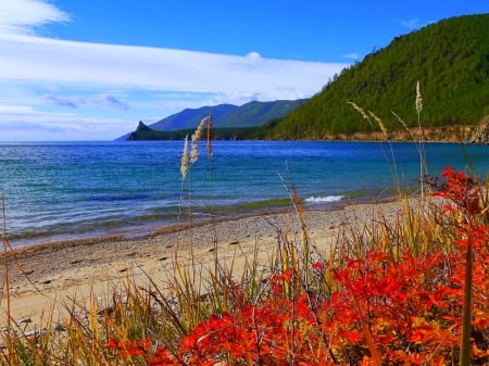 Lovely sea view - beach, water, summer, shore, lovely, bay, coast, waves, nature, view, beautiful, flowers, sea