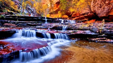 FOREST WATERFALLS - nature, streams, forest, splendor, waterfalls, mountains, plants, rocks