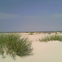 Sea Dunes