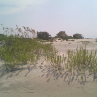 Dunes