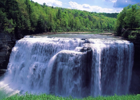 Waterfall - water, trees, waterfall, beautiful