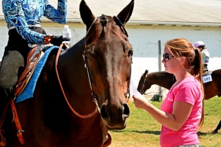 Amazing Horse - cowgirl, beautiful horse, jockey, amazing horse