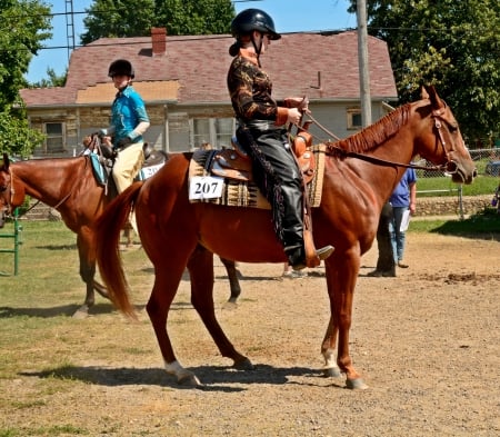 Horseback Honey - horseback honey, female jockey, cowgirl, horseback, jockey