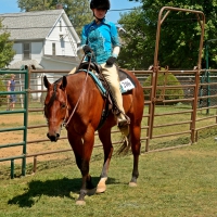 Horseback Cowgirl