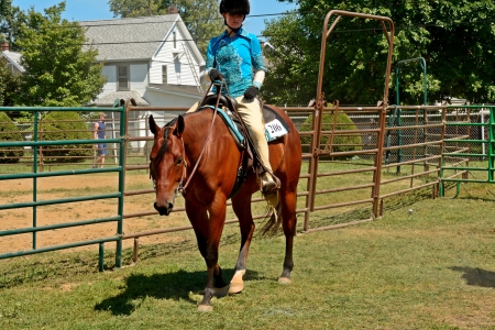 Horseback Cowgirl - horseback cowgirl, cowgirl, sexy jockey, horseback, jockey