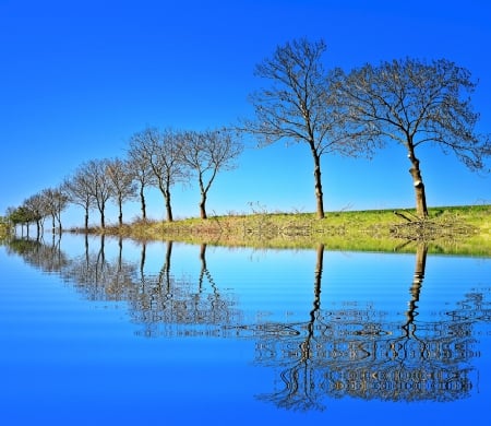 Reflections - reflections, nature, water, trees