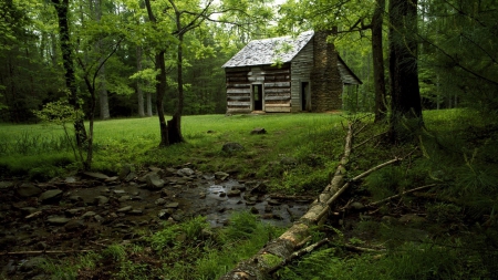 Forest - nature, cabin, forest, grass