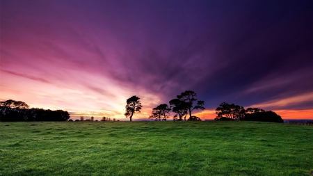 Sunset - nature, sky, sunset, grass