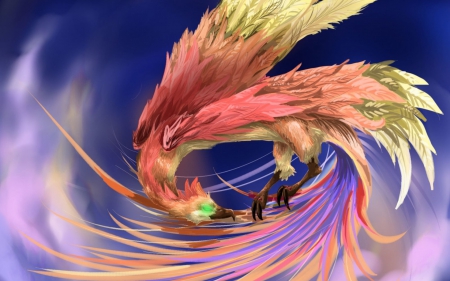 Phoenix - bird, fantasy, yellow, phoenix, blue, feather, pink