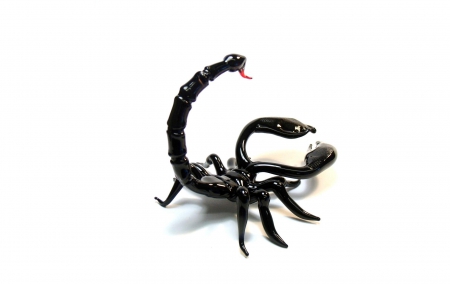 Scorpion - white, zodiac, glass, scorpion, black