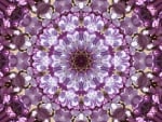 LILAC KALEIDOSCOPE