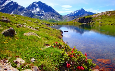 Mountain lake - hills, summer, beautiful, landscape, grass, lovely, freshness, reflection, mountain, flowers, shore, nature, cliffs, lake, sky, rocks