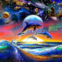 â˜…Dolphins in Sea Universeâ˜…