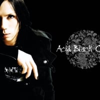 Acid Black Cherry