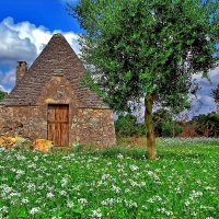 ancient Trullo house_Italy