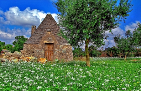 ancient Trullo house_Italy - roofs, italia, Trullo, flowers, view, old, landscapes, nice, sky, clouds, house, trees, colors, architecture, street, nature, ancient, green, panorama, italy, rocks