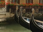 Venetian Gondolas