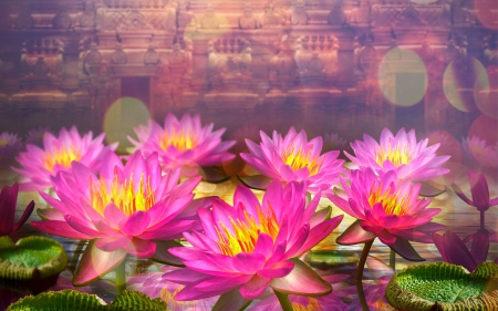 âœ¿âŠ±â€¢â•®Worshipâ•­â€¢âŠ°âœ¿ - faith, glory, lovely, creative pre-made, nature, sacred, lotus, water lilies, pink, wisdom, beautiful, colors, worship, flowers