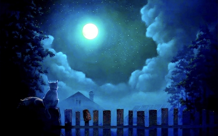 Moonlight jam - jam, moonlight, animal, beautiful, cat, peaceful, night, cats, fantasy, fence, clouds, lovely, moon, color, colorful