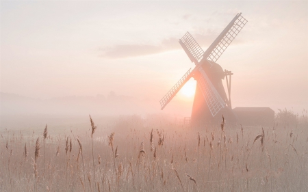 Quiet Misty Morning - morning, nature, windmills, frost