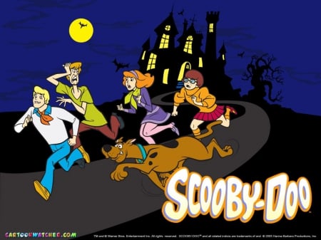 scooby doo - velma, shaggy, scooby, doo