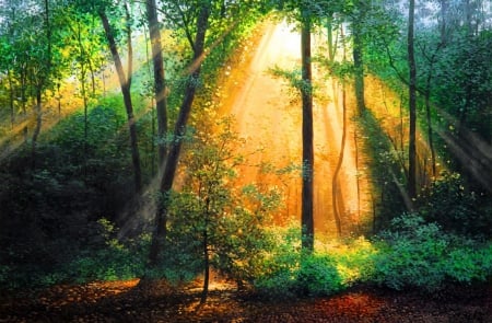 Forest sunlight - sunlight, trees, beautiful, sunbeam, sunrise, morning, forest, glow, nature, rays, painting, art