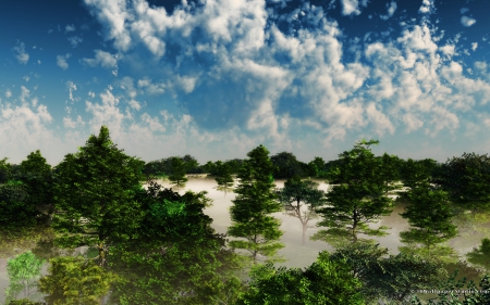 forest haze - sky, tree, forest, cloud