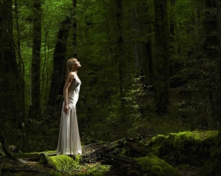 Forest Girl - forest, nature, woman, green