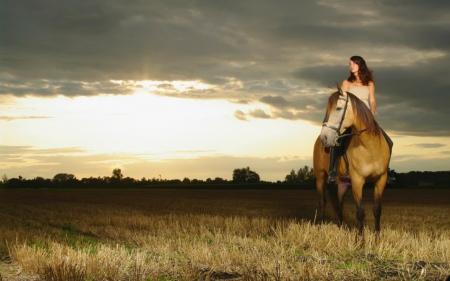 Cowgirl - field, horse, cowgirl, woman