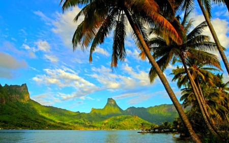 Beautiful Scenery - sky, beach, trees, nature, mountain