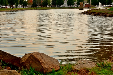 Scenic Park Pond - scenic pond, relaxing, tranquil, serene, scenic park, Scenic Park Pond