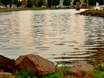 Scenic Park Pond