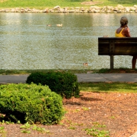 Friends by the Pond