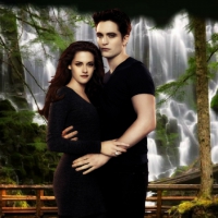 Bella & Edward