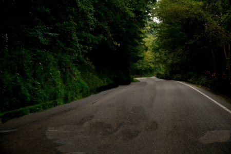 Old Country Back Road - scenic road, old country, Old Country Back Road, back road, dark road, old road